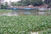আমাদেরজাগরণ